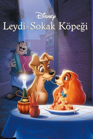 Leydi ile Sokak Köpeği