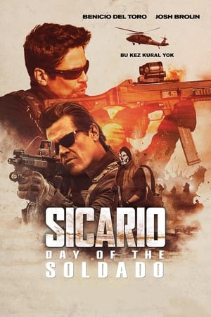 Sicario: Askerin Günü